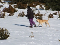 Fourneuby - 3 janvier